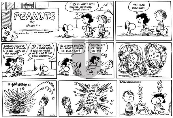 Peanuts on Sunday November 20, 1960 Comic Strip