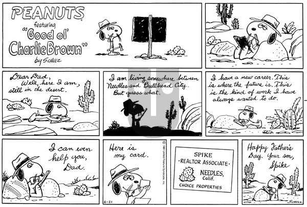 Peanuts on Sunday June 21, 1981 Comic Strip