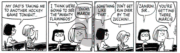 Peanuts on Wednesday November 17, 1993 Comic Strip