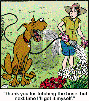 Marmaduke on Wednesday October 2, 2019 Comic Strip