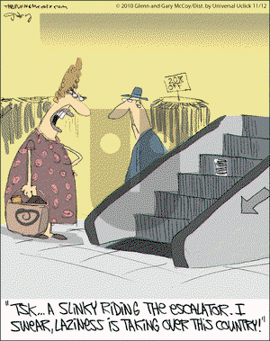 The Flying McCoys on Friday November 12, 2010 Comic Strip