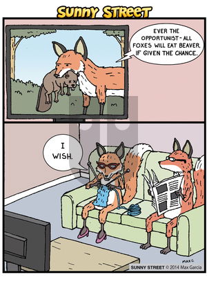 Sunny Street on Wednesday June 11, 2014 Comic Strip