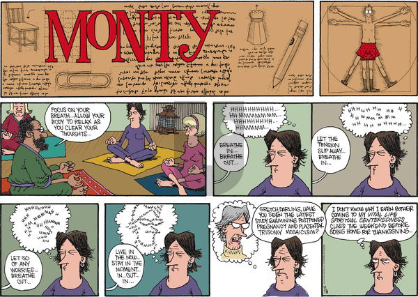 Monty on Sunday November 18, 2012 Comic Strip