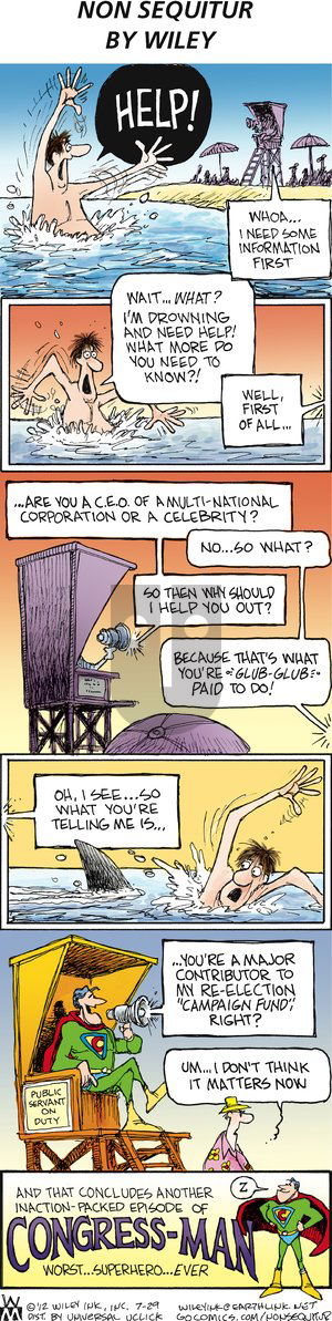 Non Sequitur on Sunday July 29, 2012 Comic Strip