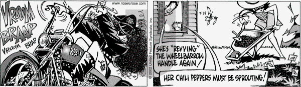 Rose is Rose on Monday July 29, 2002 Comic Strip