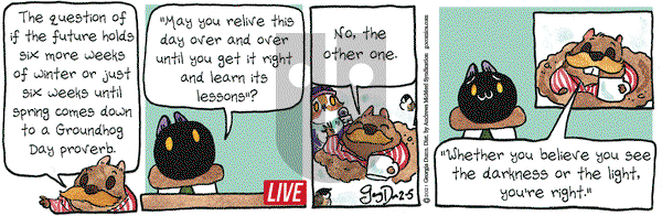 Breaking Cat News on Friday February 5, 2021 Comic Strip