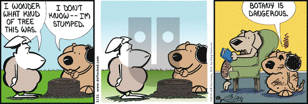 DeFlocked on Wednesday March 21, 2018 Comic Strip