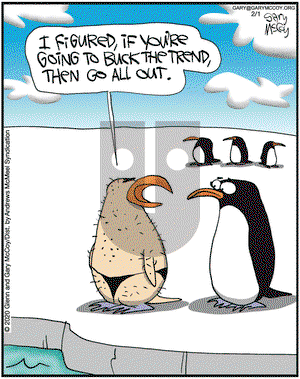 The Flying McCoys on Saturday February 1, 2020 Comic Strip