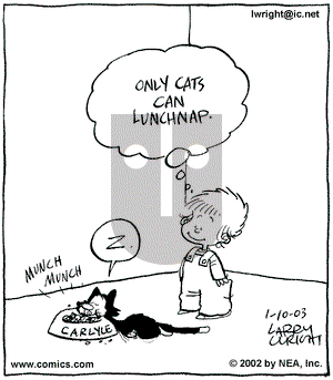 Kit 'N' Carlyle on Friday January 10, 2003 Comic Strip