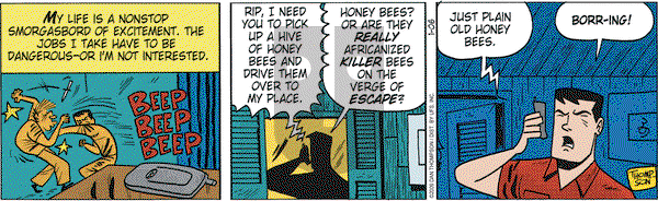 Rip Haywire - Tuesday January 6, 2009 Comic Strip