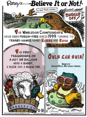 Ripley's Believe It or Not - Friday August 19, 2022 Comic Strip