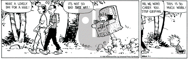 Calvin and Hobbes on Saturday July 1, 1995 Comic Strip