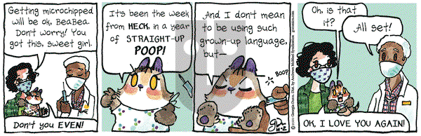 Breaking Cat News on Friday October 2, 2020 Comic Strip