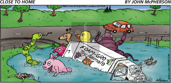 Close to Home on Sunday March 5, 2017 Comic Strip