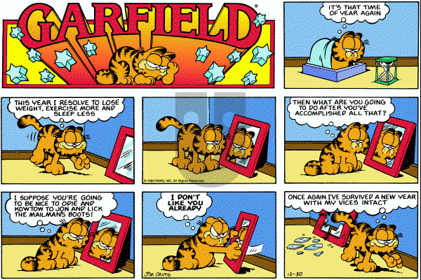 Garfield on Sunday December 30, 1984 Comic Strip