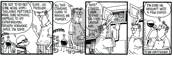 Monty on Monday August 22, 2005 Comic Strip