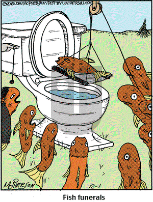 Close to Home on Tuesday December 1, 2015 Comic Strip