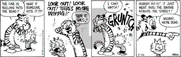 Calvin and Hobbes - Friday May 26, 1989 Comic Strip
