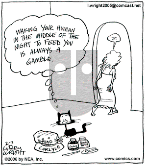 Kit 'N' Carlyle on Tuesday February 7, 2006 Comic Strip