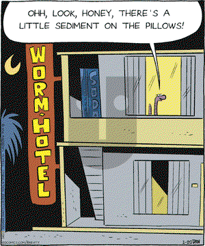 Brevity on Wednesday January 20, 2021 Comic Strip