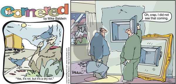 Cornered on Sunday July 10, 2011 Comic Strip