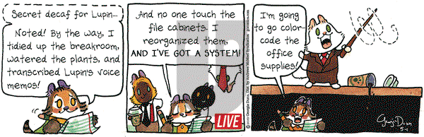 Breaking Cat News on Wednesday May 1, 2019 Comic Strip