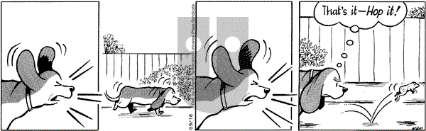 Fred Basset on Tuesday September 16, 2008 Comic Strip