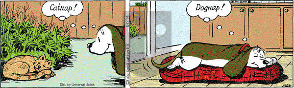 Fred Basset on Tuesday July 14, 2015 Comic Strip
