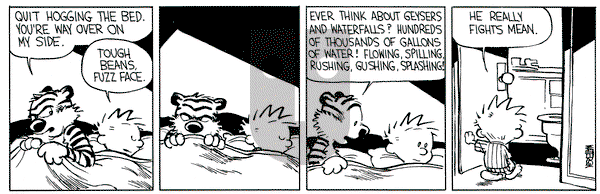 Calvin and Hobbes on Thursday November 19, 1987 Comic Strip