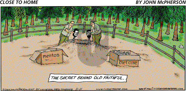 Close to Home on Sunday November 11, 2007 Comic Strip