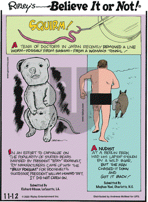 Ripley's Believe It or Not on Thursday November 12, 2020 Comic Strip