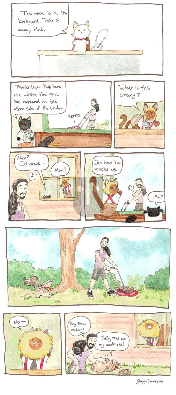 Breaking Cat News on Wednesday September 21, 2016 Comic Strip