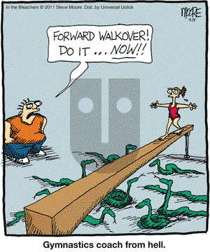 In the Bleachers on Tuesday July 5, 2011 Comic Strip