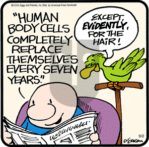 Ziggy - Wednesday September 2, 2009 Comic Strip