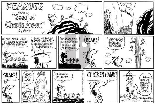 Peanuts on Sunday September 30, 1979 Comic Strip