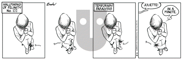 9 Chickweed Lane on Saturday August 16, 2003 Comic Strip