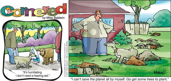 Cornered on Sunday September 5, 2021 Comic Strip