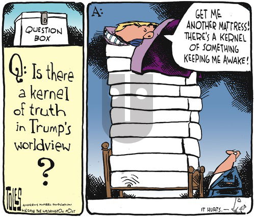 Tom Toles on Sunday June 17, 2018 Comic Strip