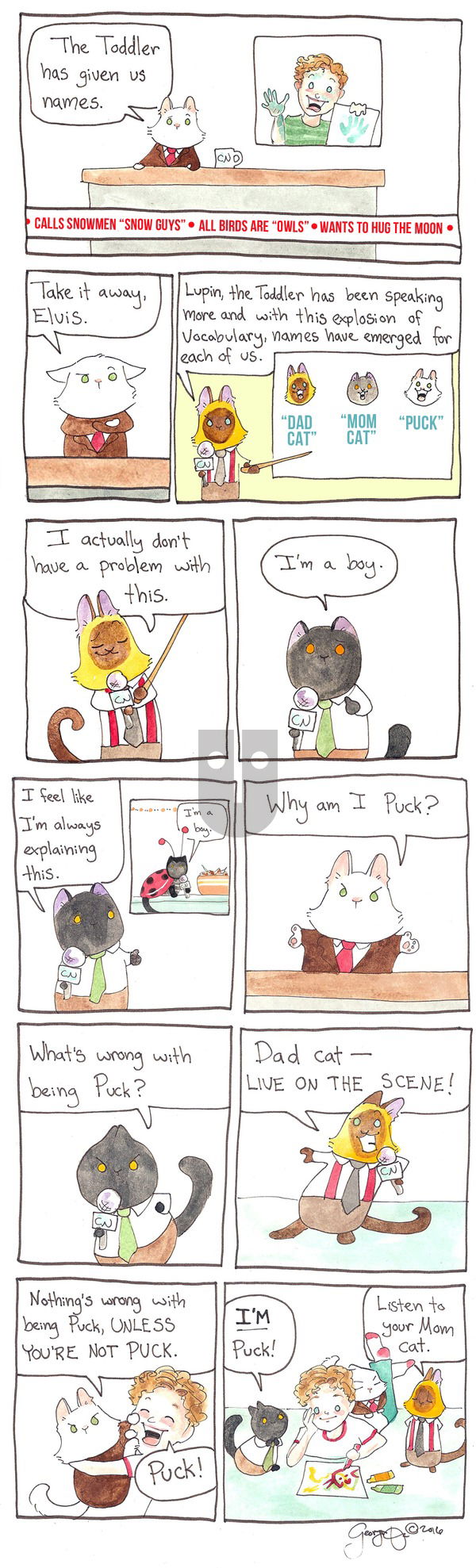 Breaking Cat News on Sunday February 12, 2017 Comic Strip