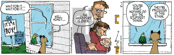 Over the Hedge on Monday July 31, 2006 Comic Strip