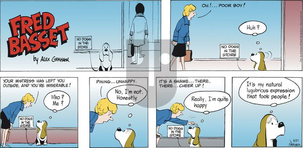 Fred Basset - Sunday April 21, 2024 Comic Strip