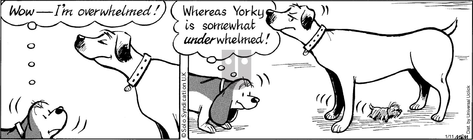 Fred Basset on Saturday January 11, 2014 Comic Strip