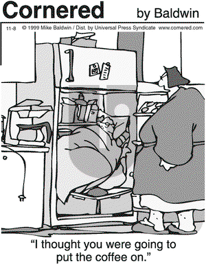 Cornered on Monday November 8, 1999 Comic Strip