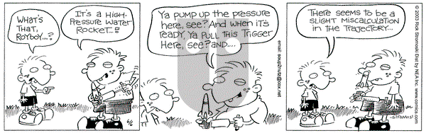 Soup to Nutz - Old on Friday June 6, 2003 Comic Strip