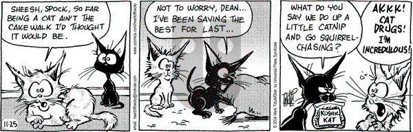 Heart of the City on Thursday November 25, 2004 Comic Strip