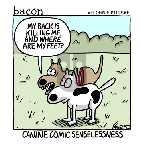 bacon - Wednesday December 11, 2024 Comic Strip