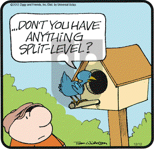 Ziggy on Wednesday December 12, 2012 Comic Strip