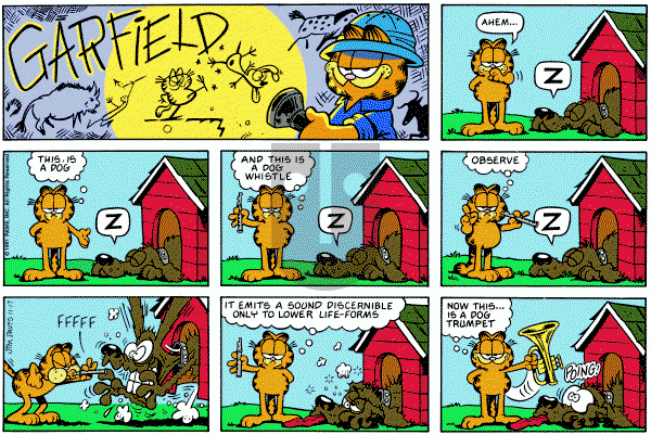 Garfield on Sunday November 17, 1991 Comic Strip