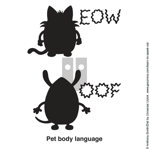 Learn to Speak Cat on Friday April 25, 2025 Comic Strip