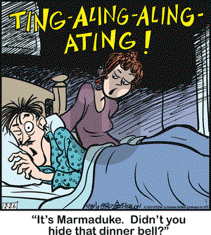Marmaduke on Wednesday February 26, 2020 Comic Strip